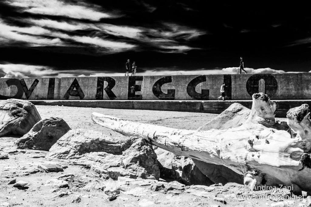 Sol&Mare Hotel Viareggio Exterior photo